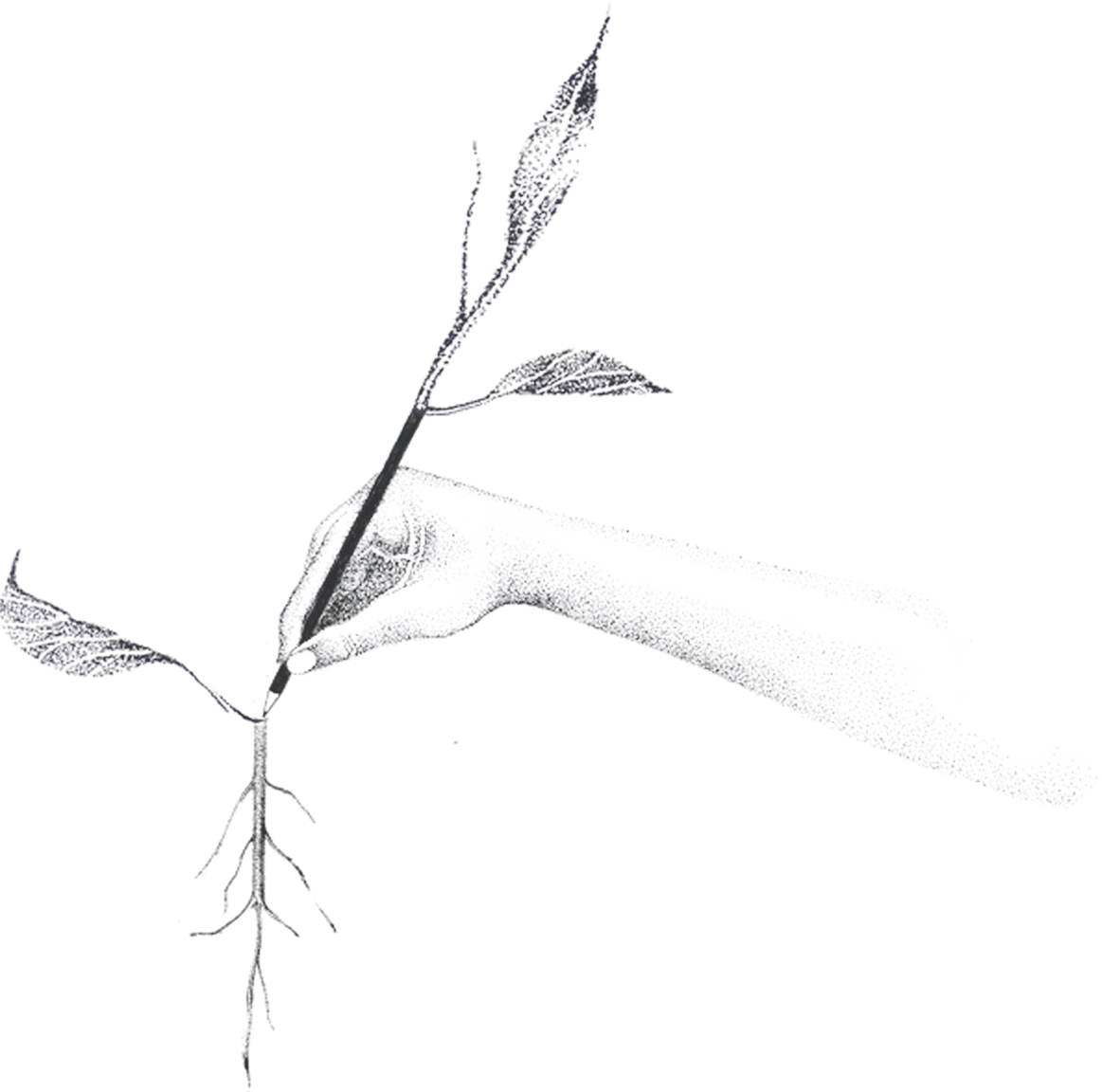 Výtvarný obor pro dospělé ZUŠ Znojmo Škola tvůrčího myšlení