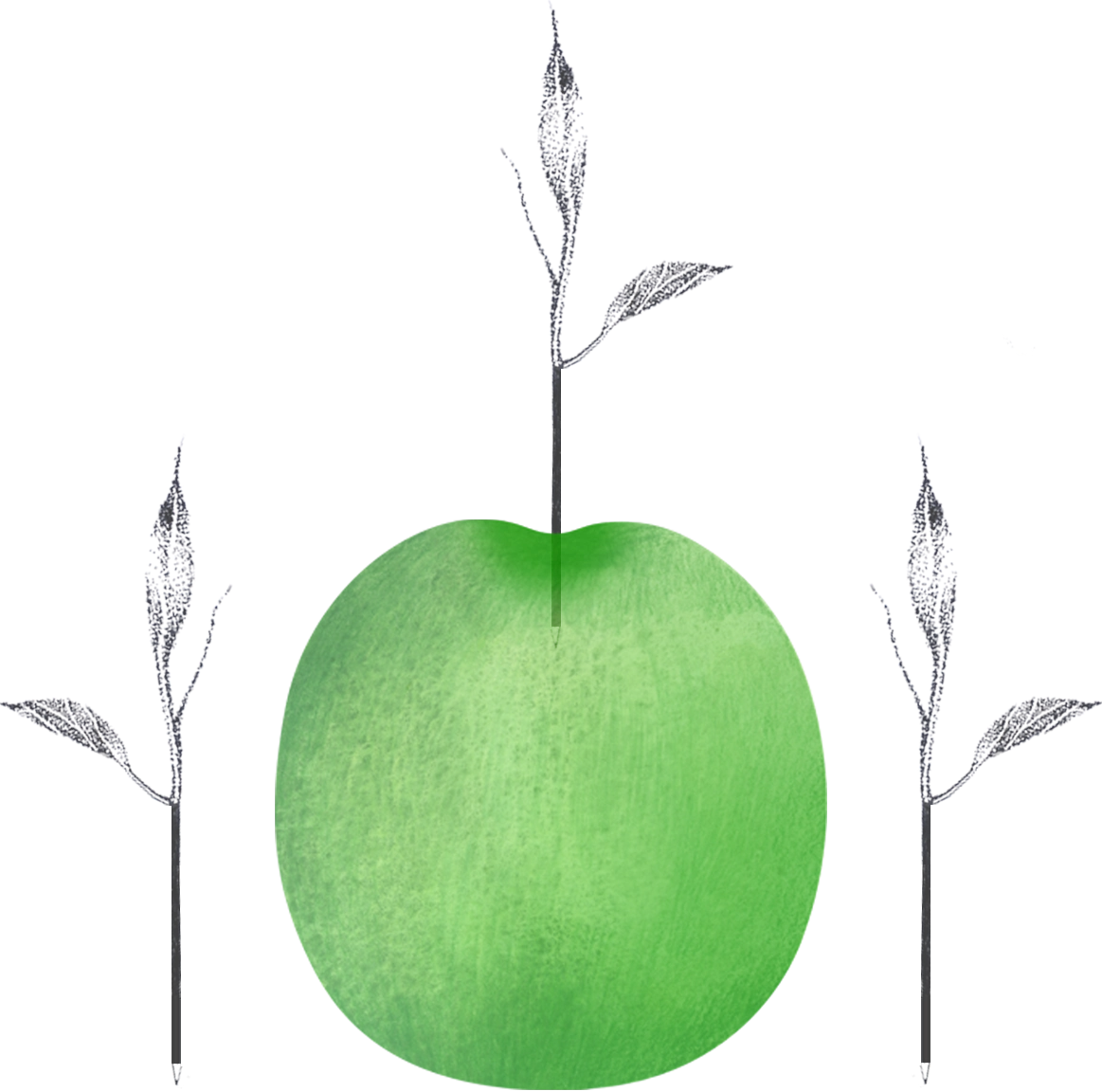 Partneři Škola tvůrčího myšlení Znojmo ZUŠ základní umělecká škola